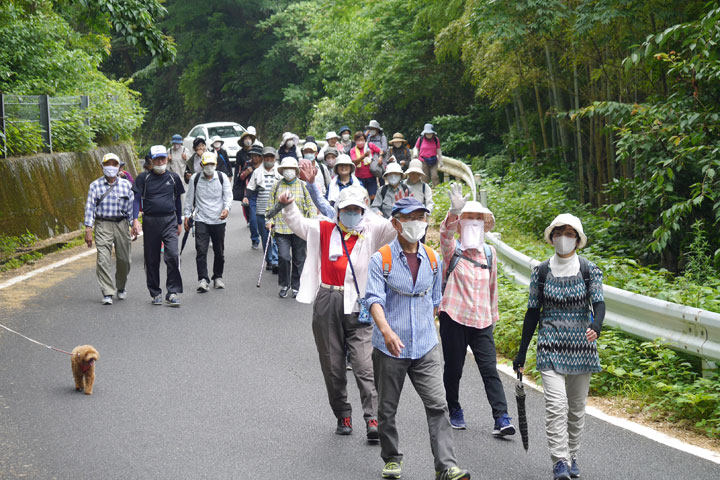 ウオーキング大会