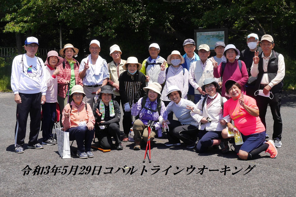 ウォーキング大会
