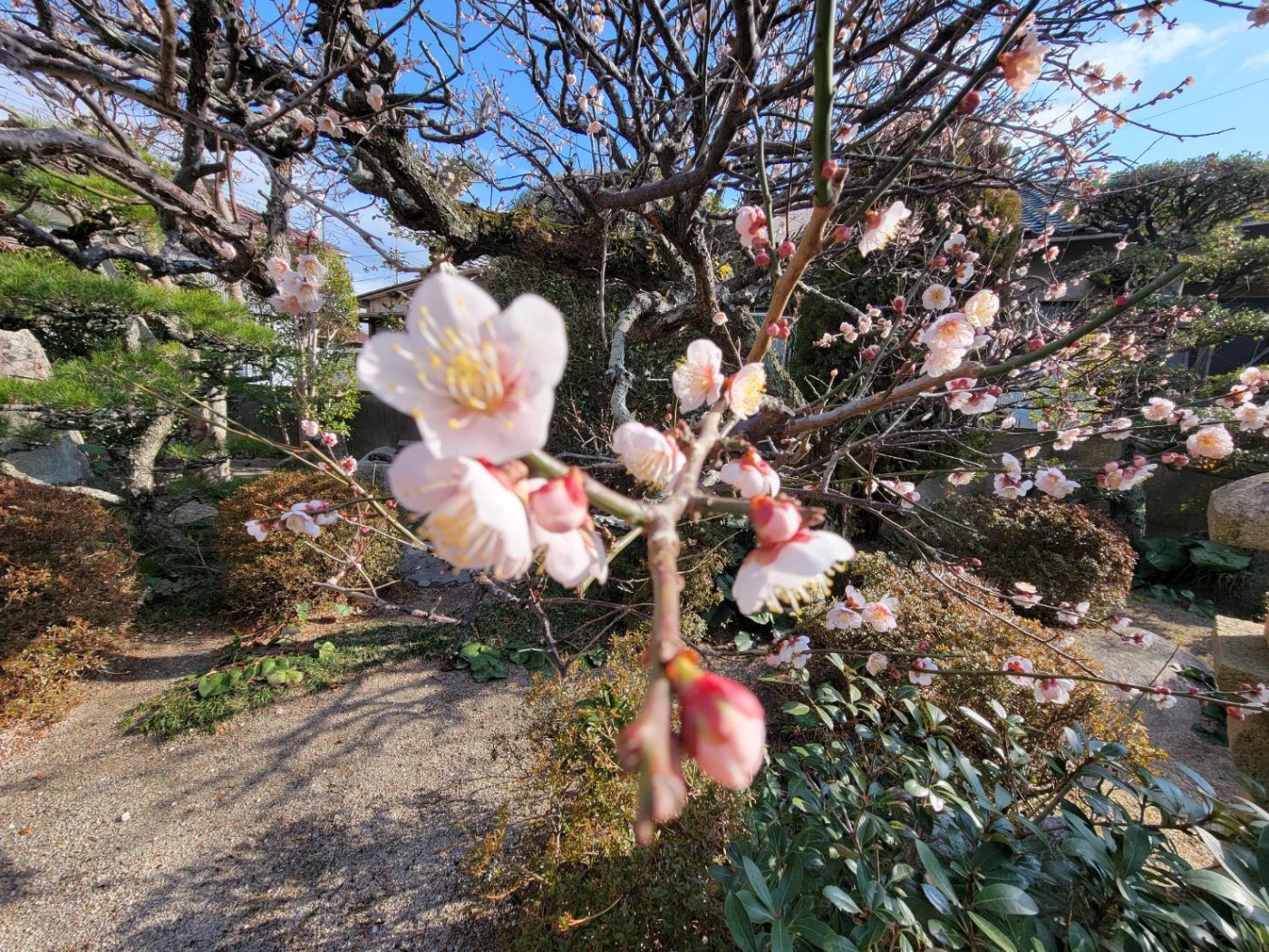 「感謝」関連画像