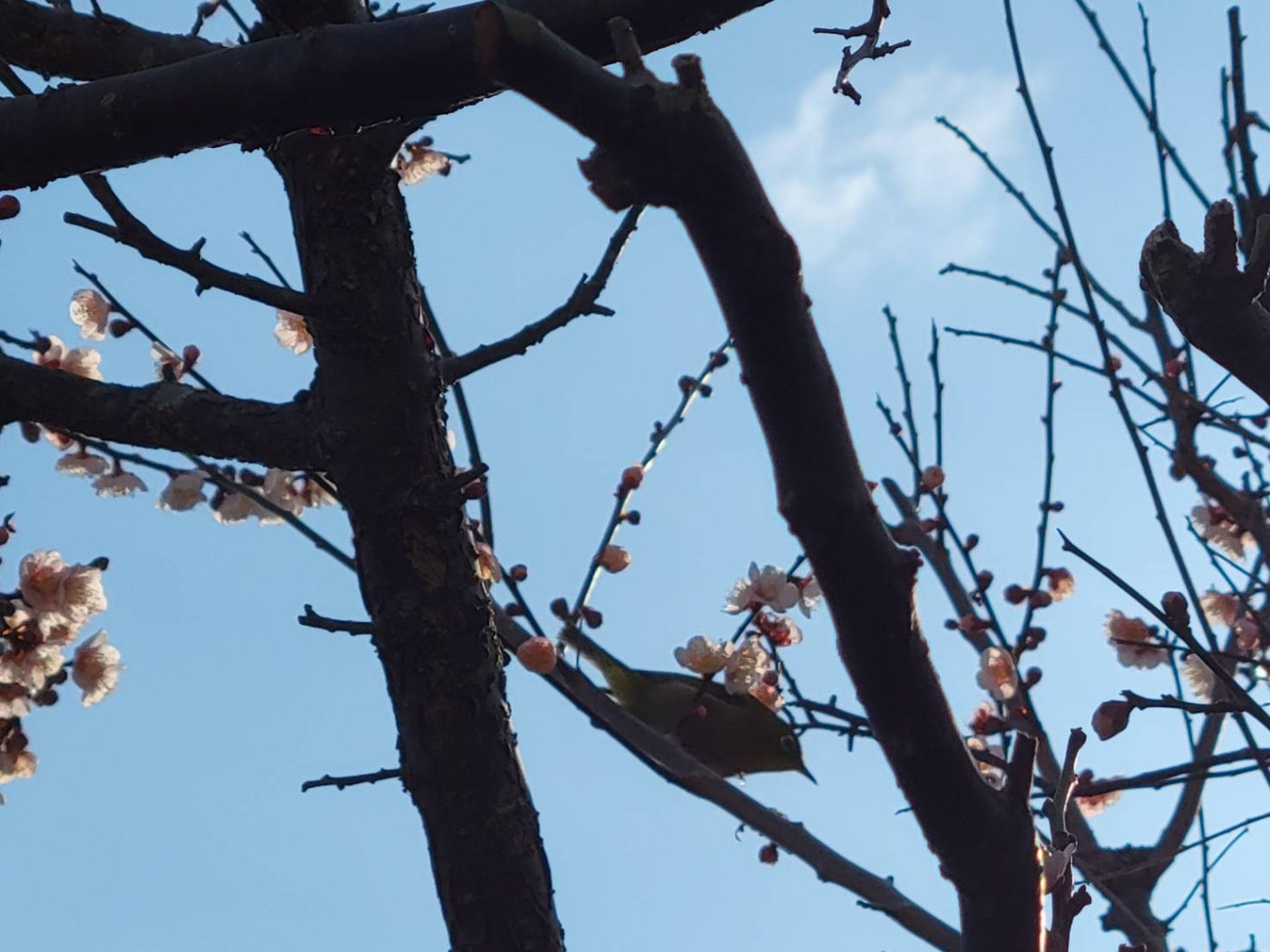 「感謝」関連画像