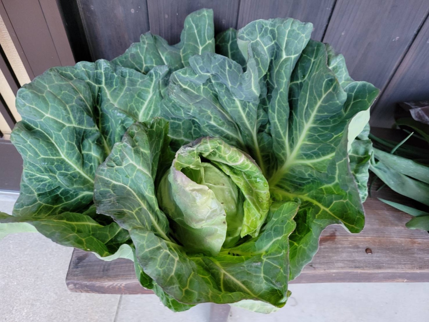 「ありがたいプレゼント」関連画像