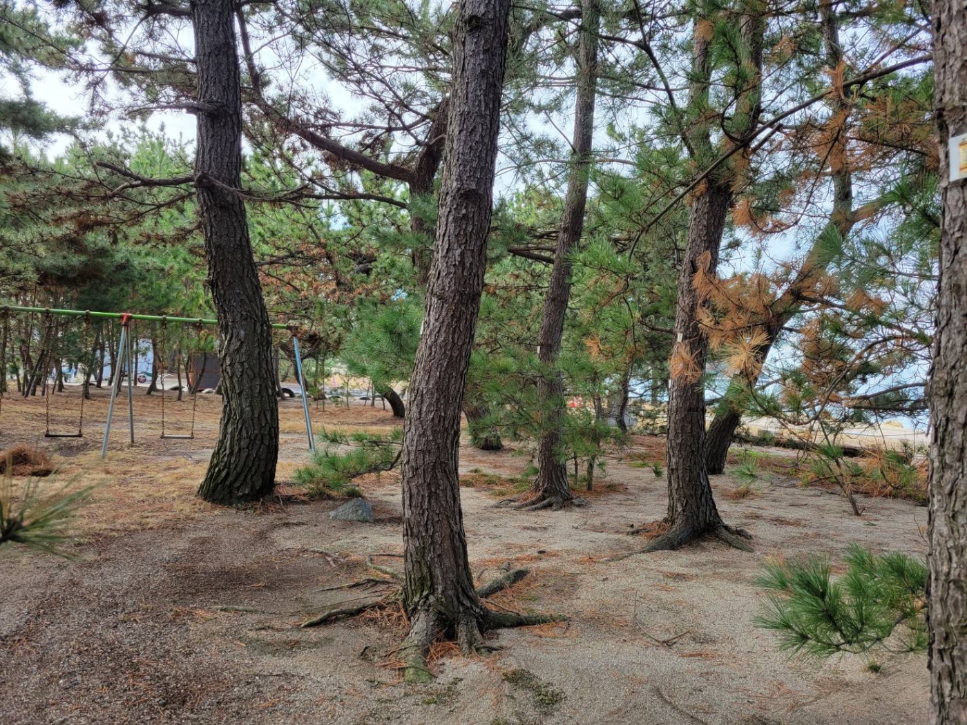 「自治会活動は大切な繋がり」関連画像