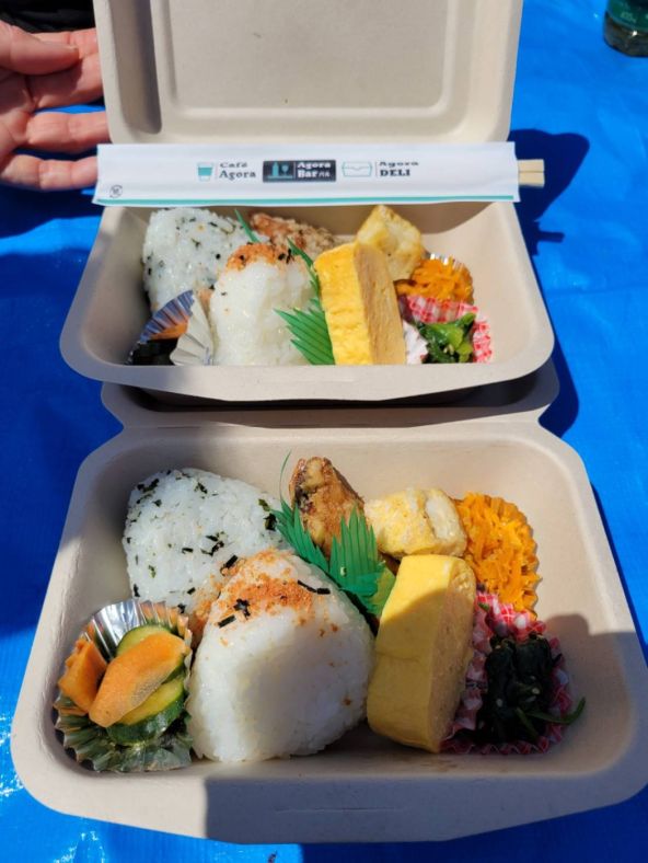 芝桜ウォーキング関連画像