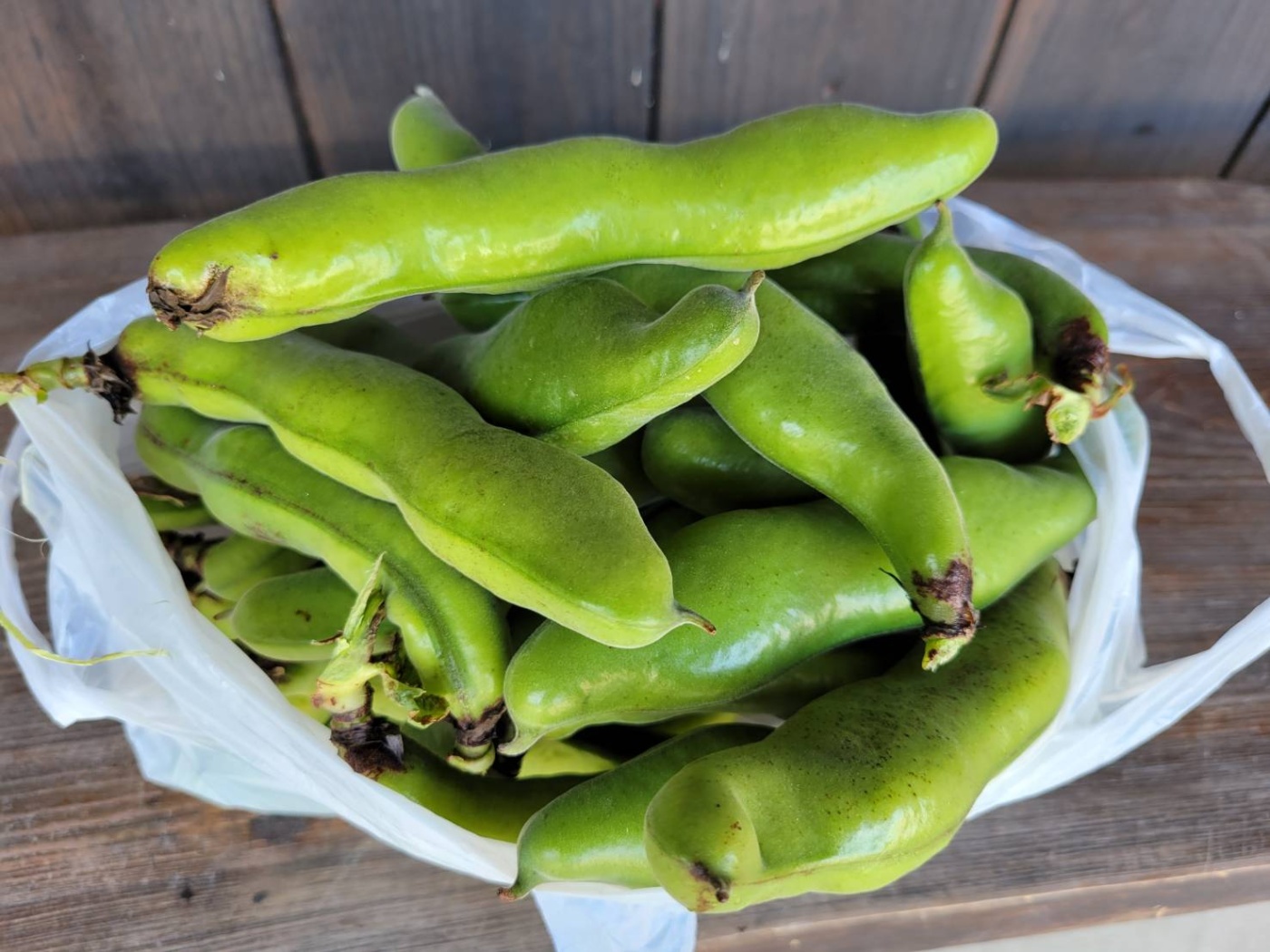 「素敵な母の日を」関連画像