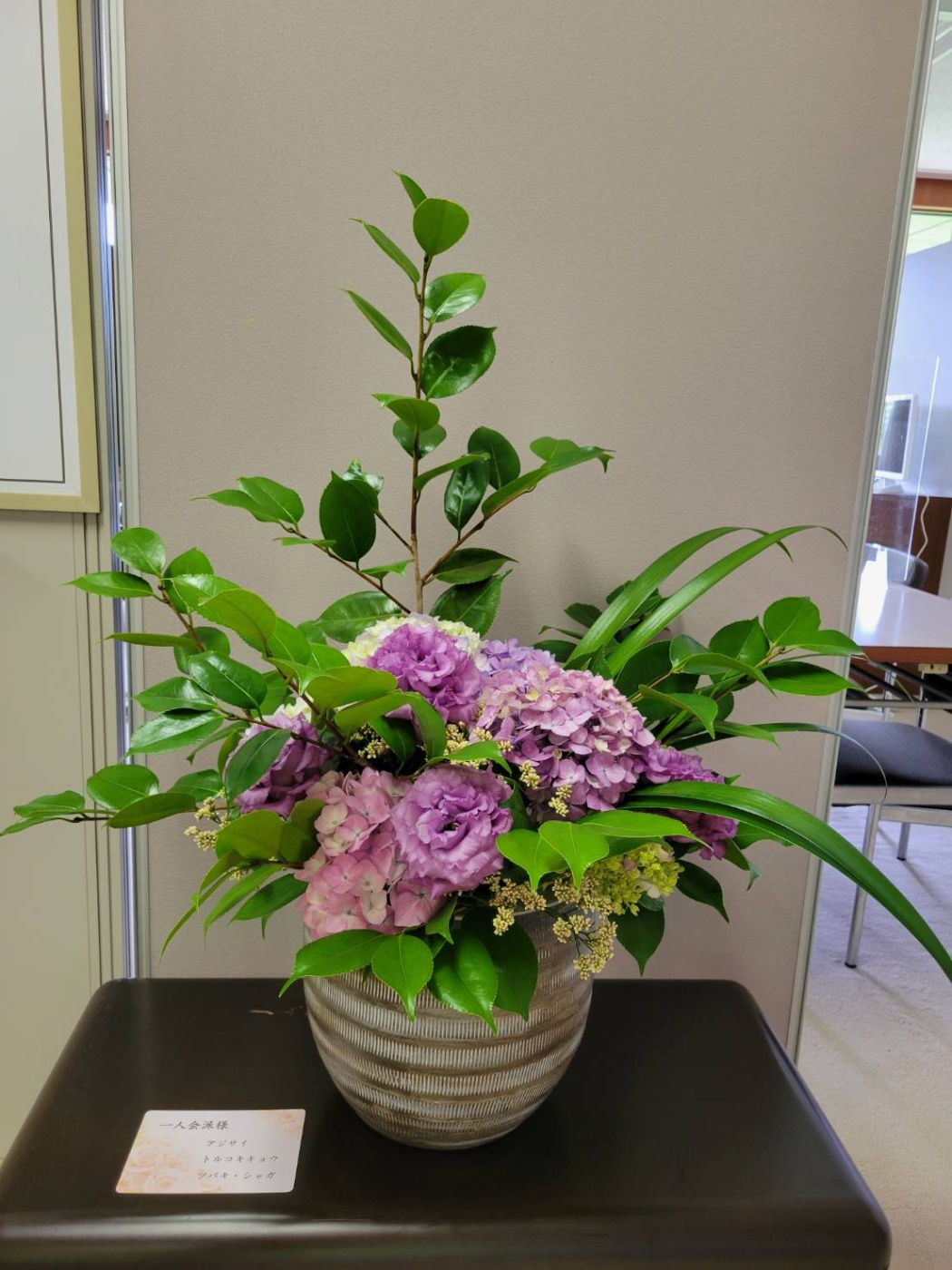 「癒し🌺」関連画像