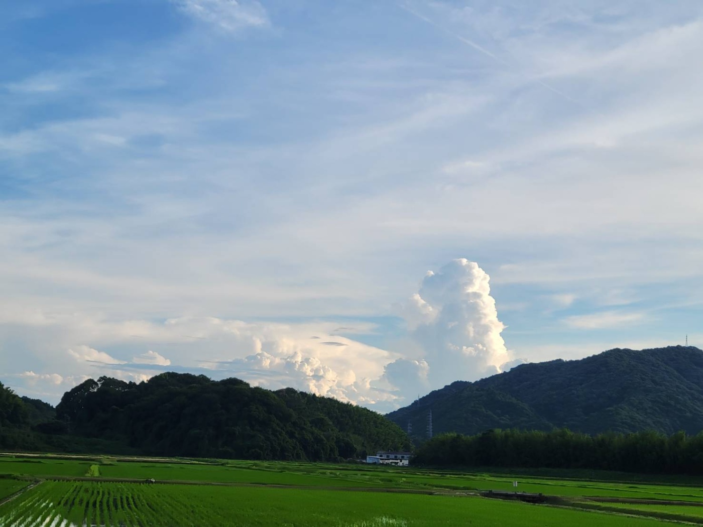 「暑くなりそう☀️😵💦」関連画像