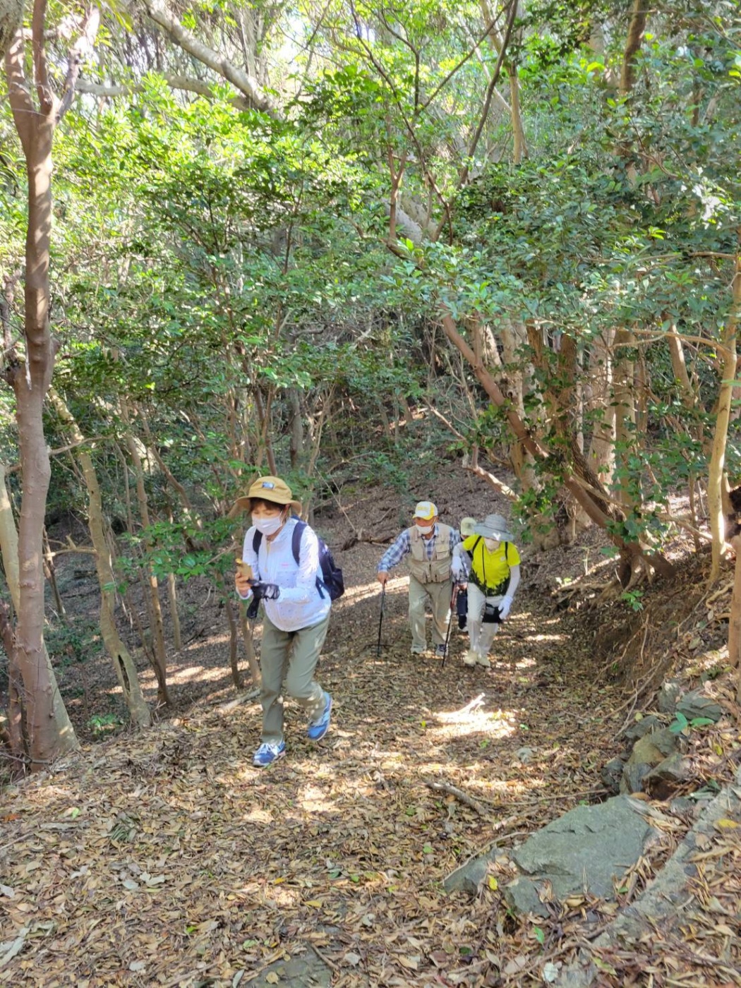 「健康一番～」関連画像