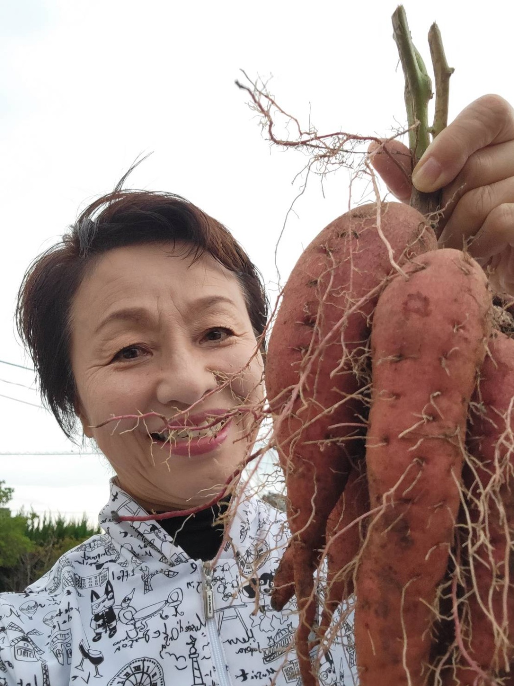 「収穫の喜び」関連画像