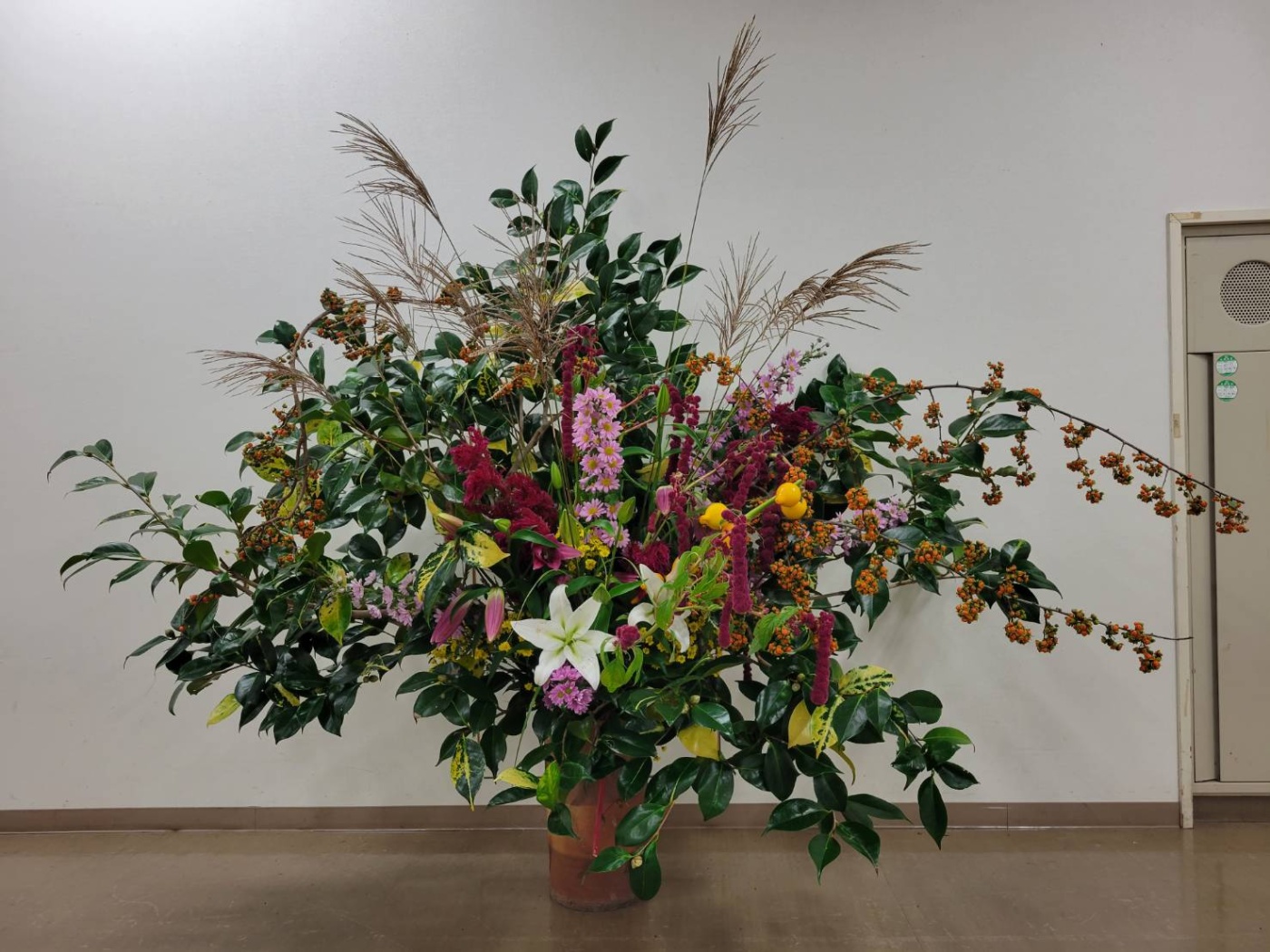 「もみじ茶会🍁」関連画像