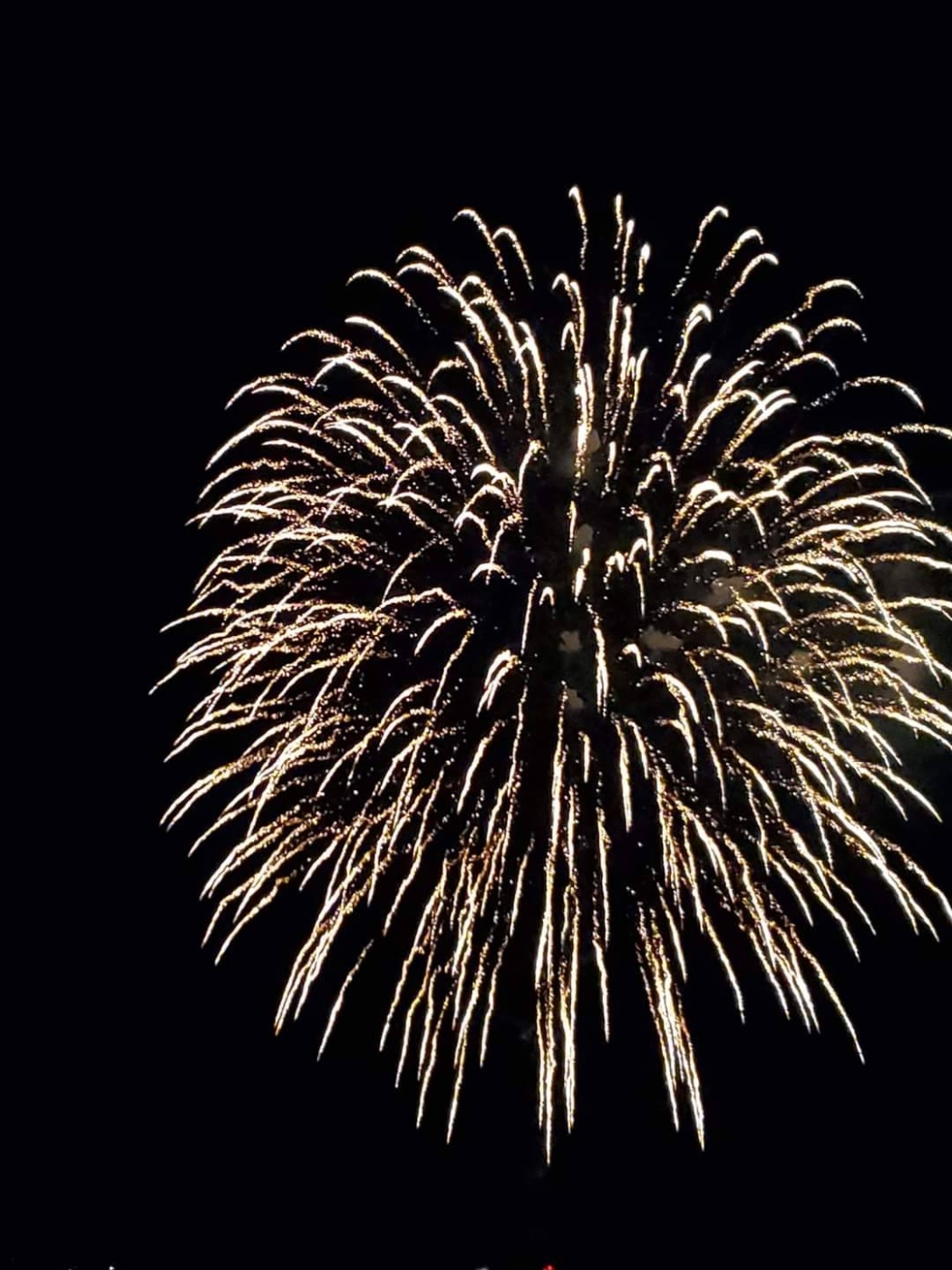 「秋の夜空に花火🎆」関連画像