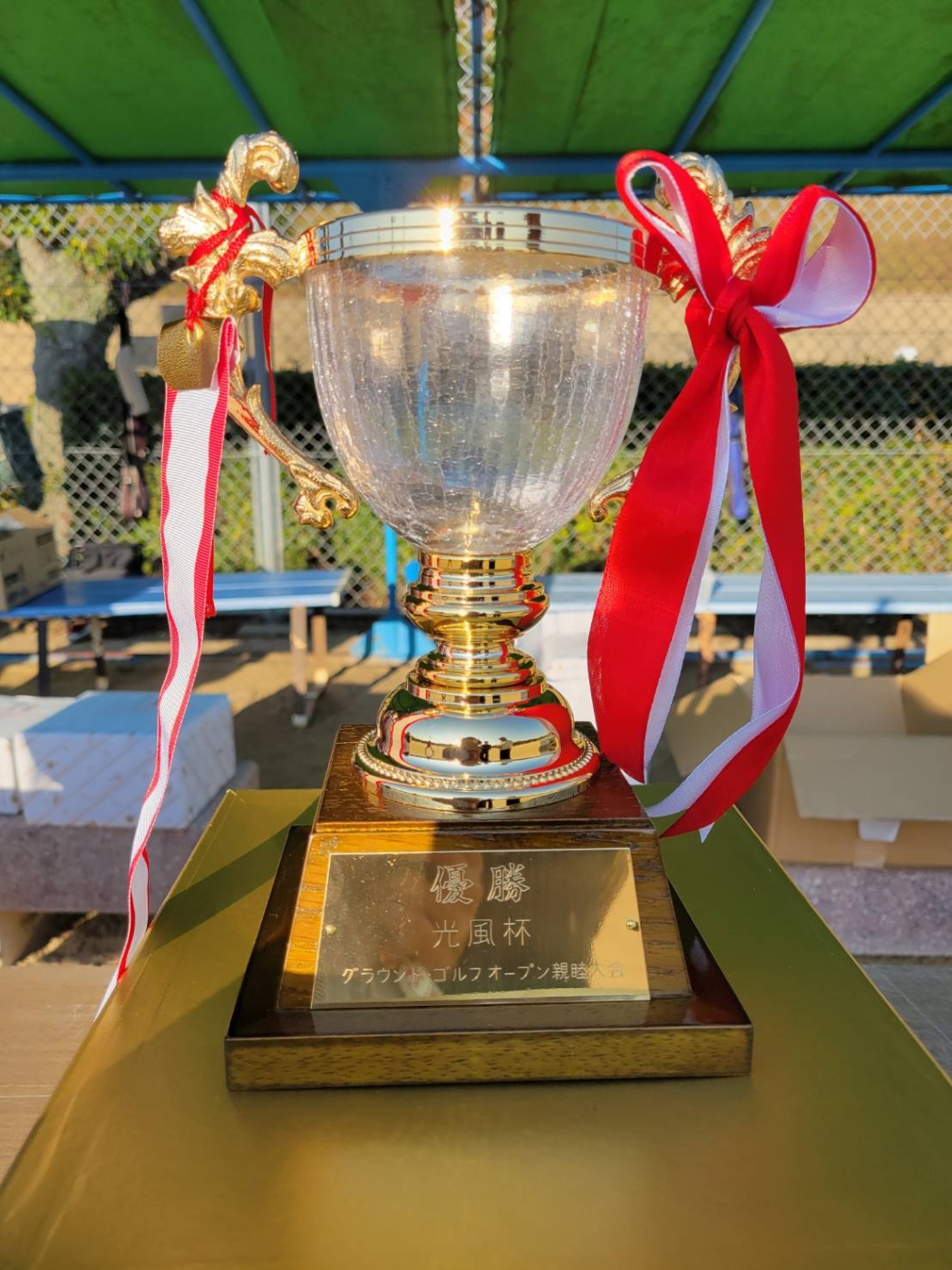 「光風杯✴️」関連画像