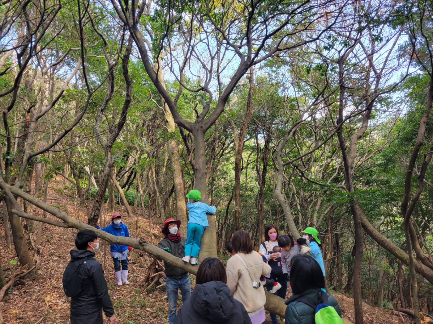 「避難所の里山は、竹取物語の世界」関連画像