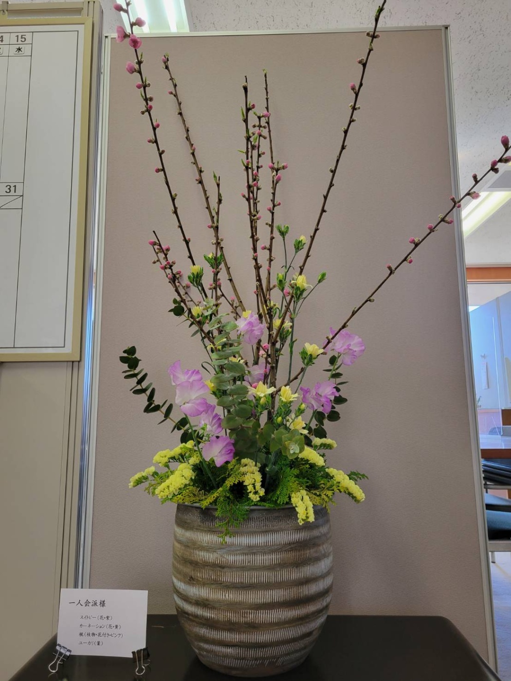 「春ですね🌸」関連画像