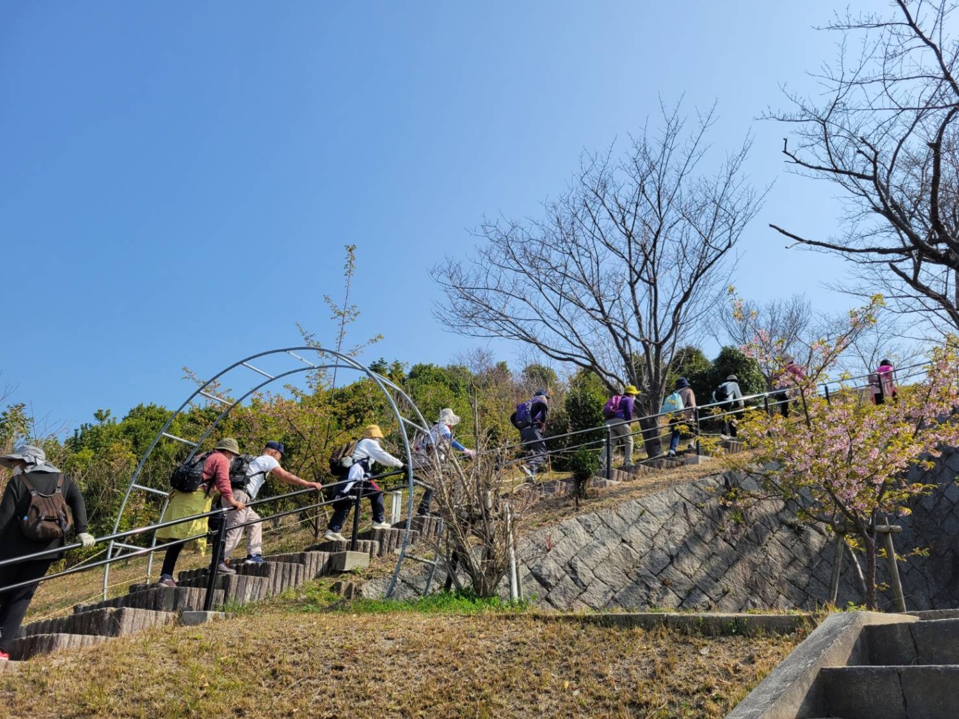 「春ですね～🌸」関連画像