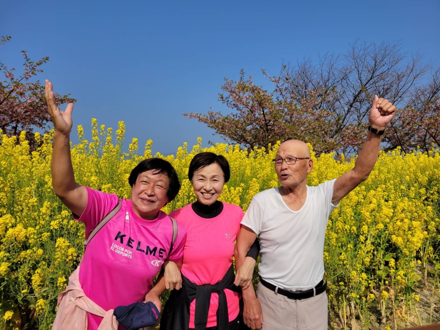「春ですね～🌸」関連画像