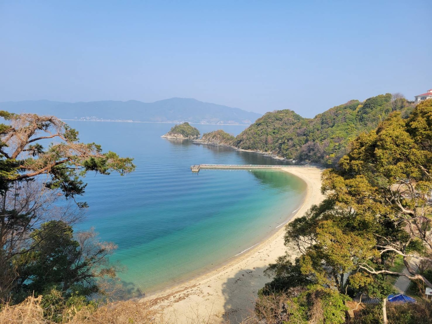 「春ですね～🌸」関連画像