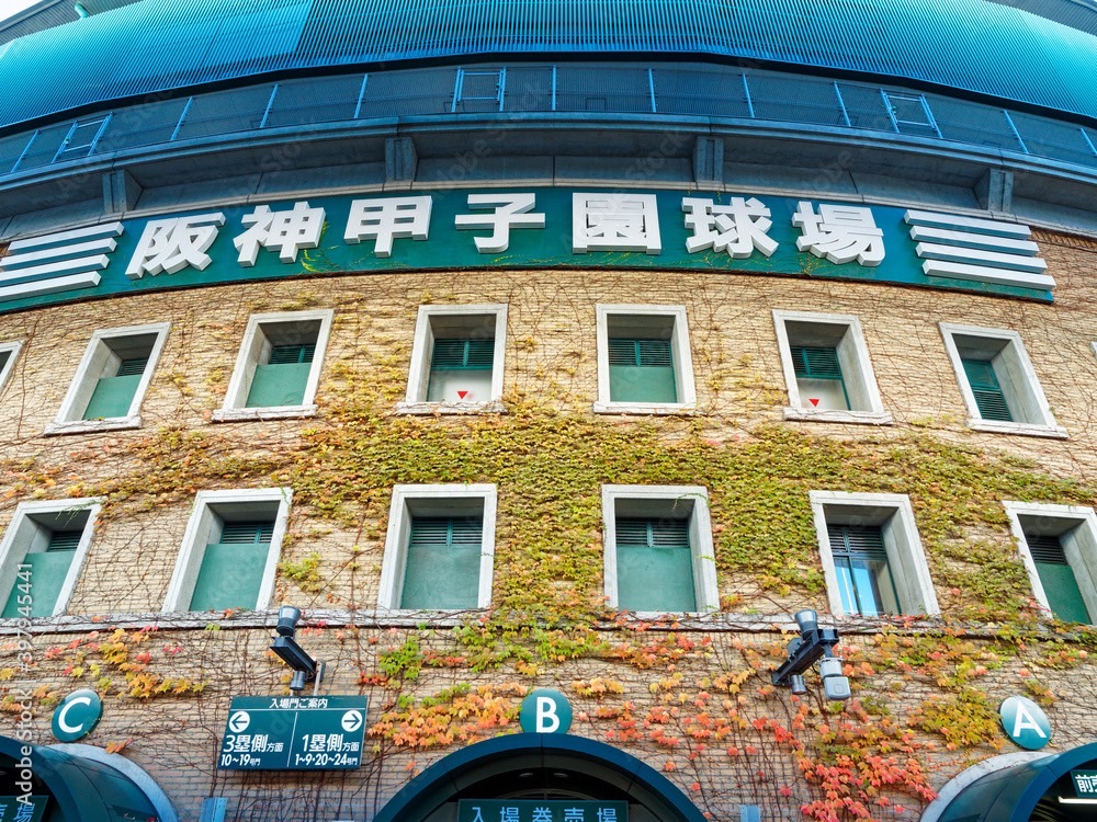 「感動をありがとう」関連画像