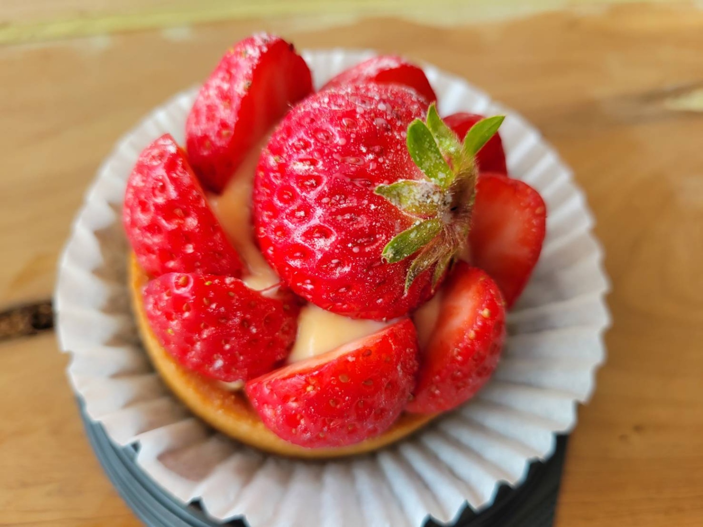 「4年ぶりの普賢まつり」関連画像