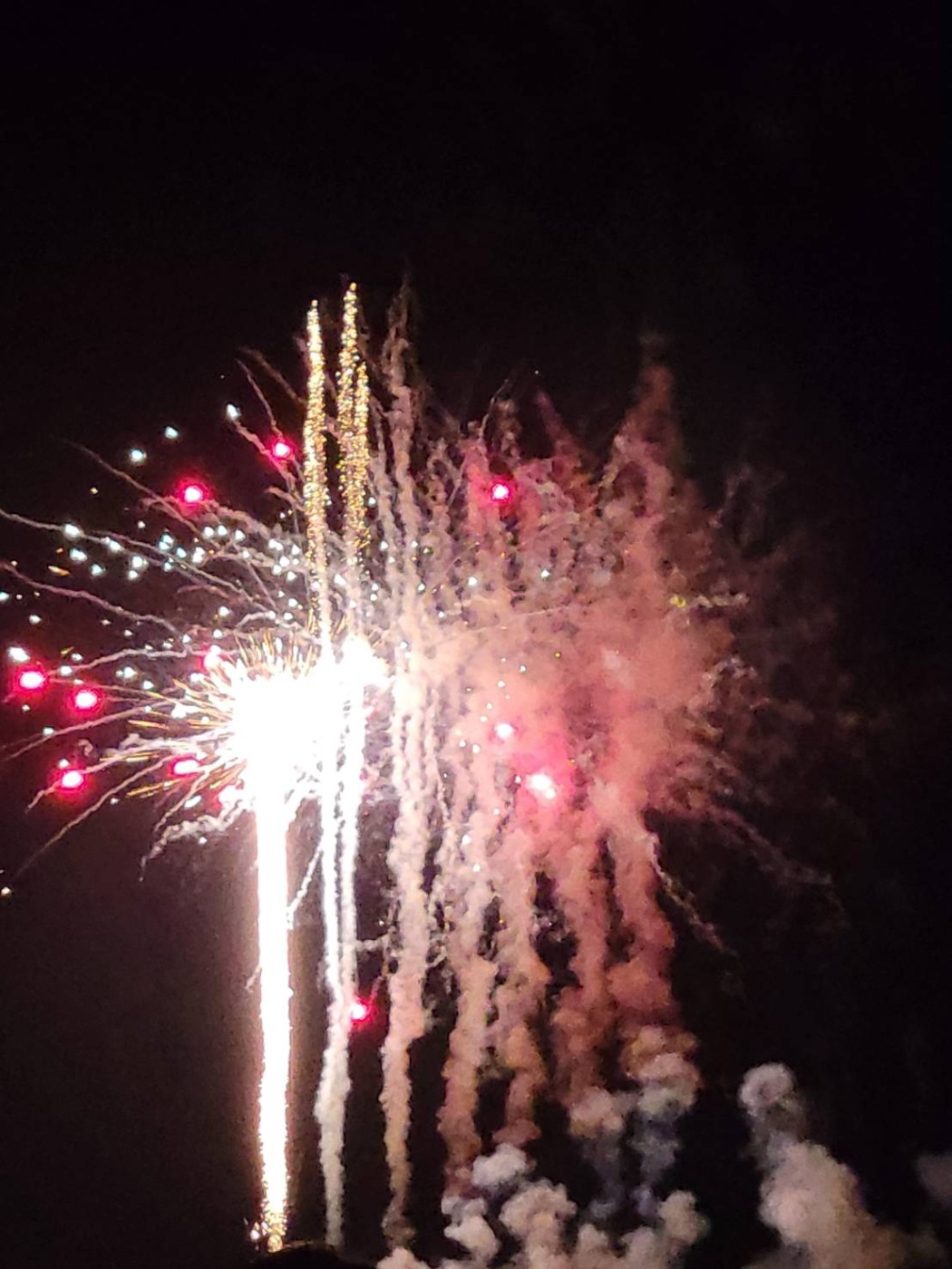 「4年ぶりの花火大会」関連画像