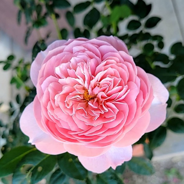 充実した三連休関連画像