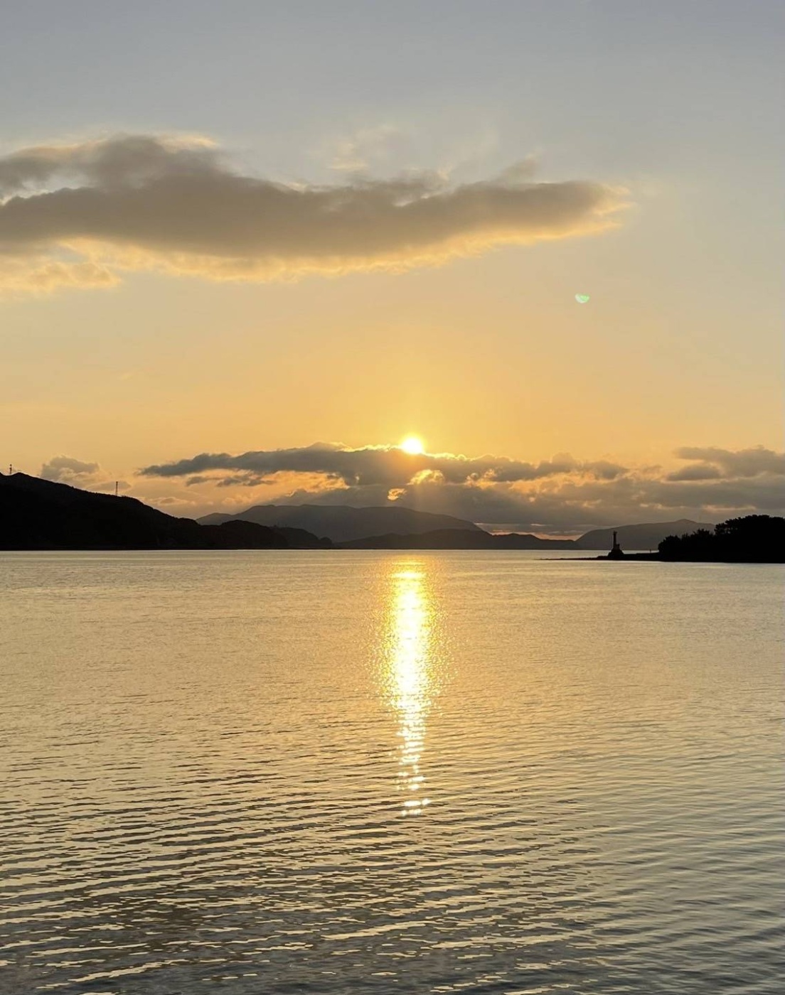 「迎春」関連画像