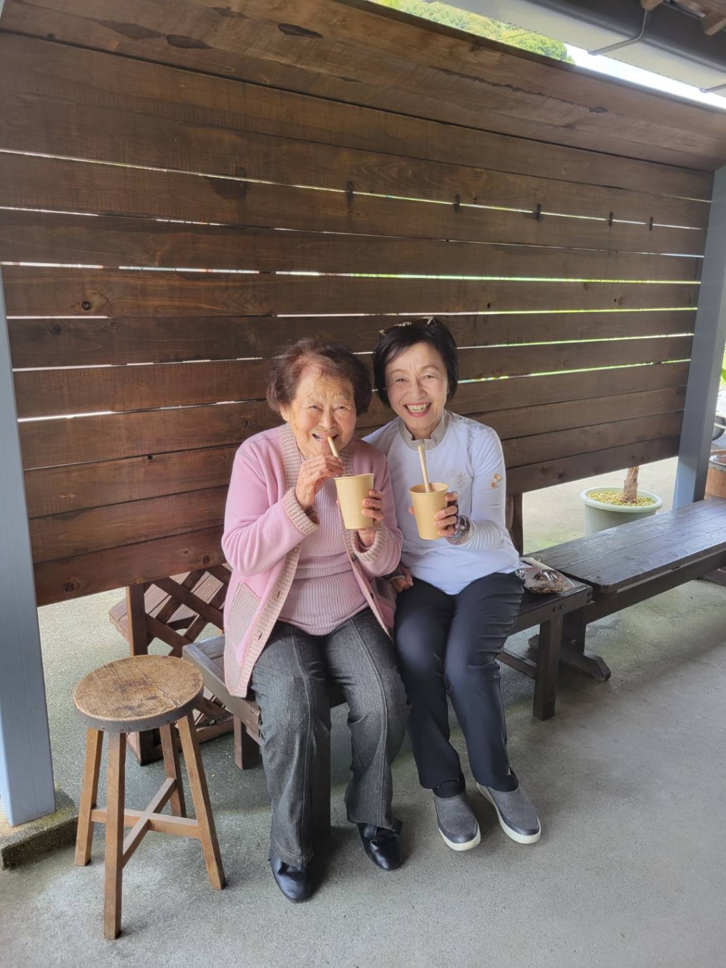 「🌸桜🌸」関連画像