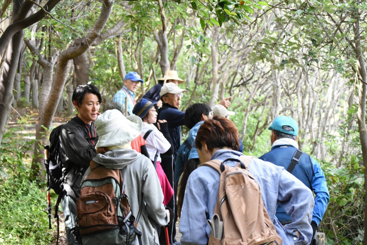 「最高の時間～」関連画像