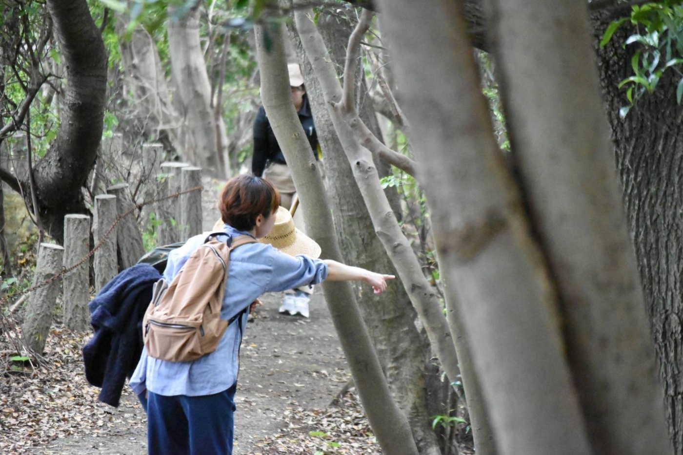 「最高の時間～」関連画像