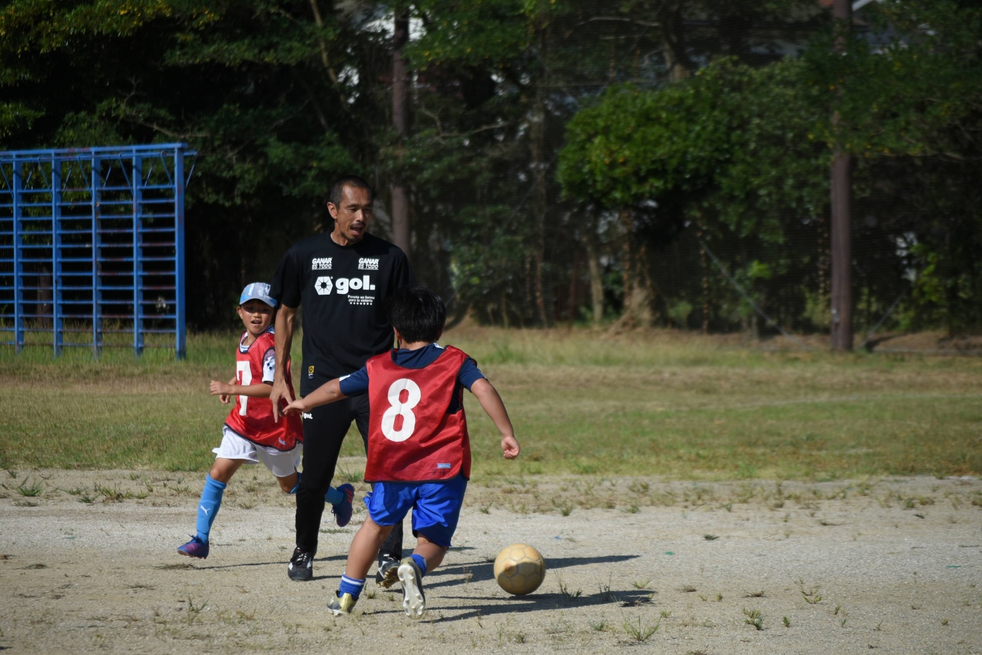 「素晴らしい体験～👍️」関連画像