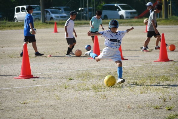 素晴らしい体験～👍️関連画像